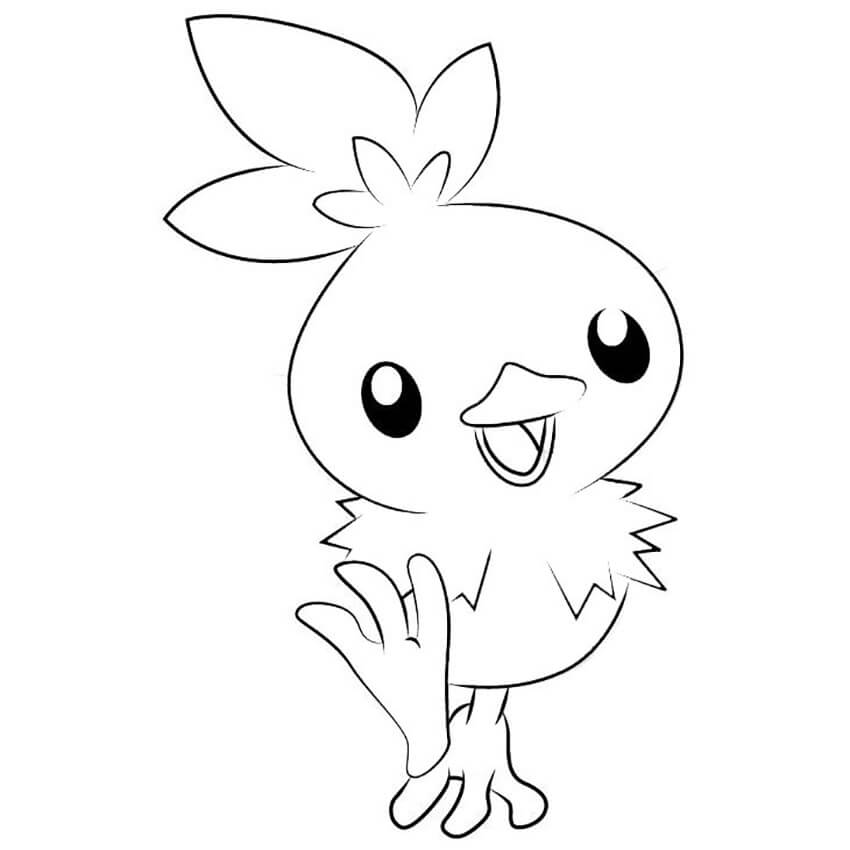 Pokemon torchic fãrbung seite