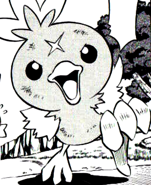 Torchic
