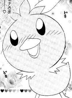 Harukas torchic