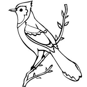 Bird coloring page for kids color luna bird coloring pages blue jay coloring pages