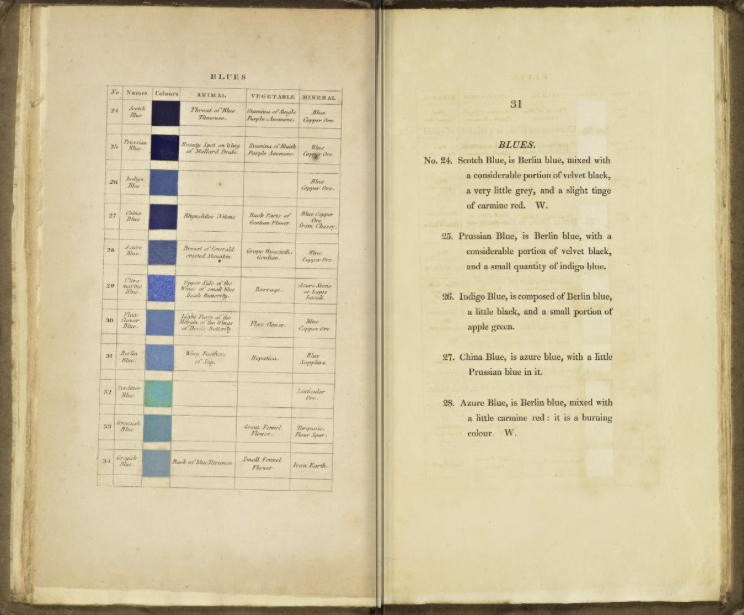 What color is a blue jay