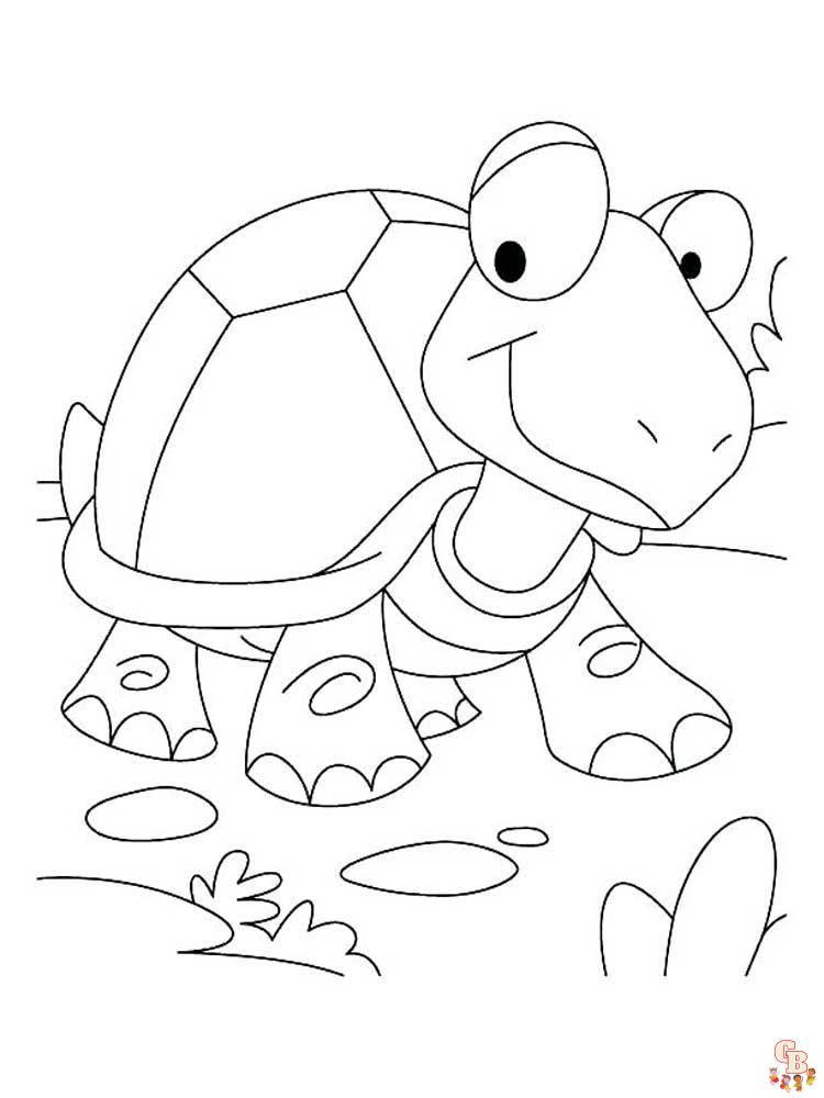 Tortoise coloring pages
