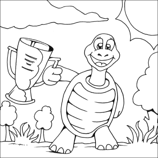 Tortoise colouring