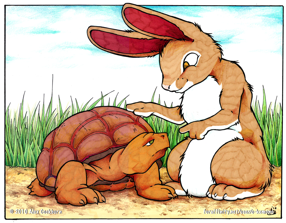 Tortoise and the hare by o