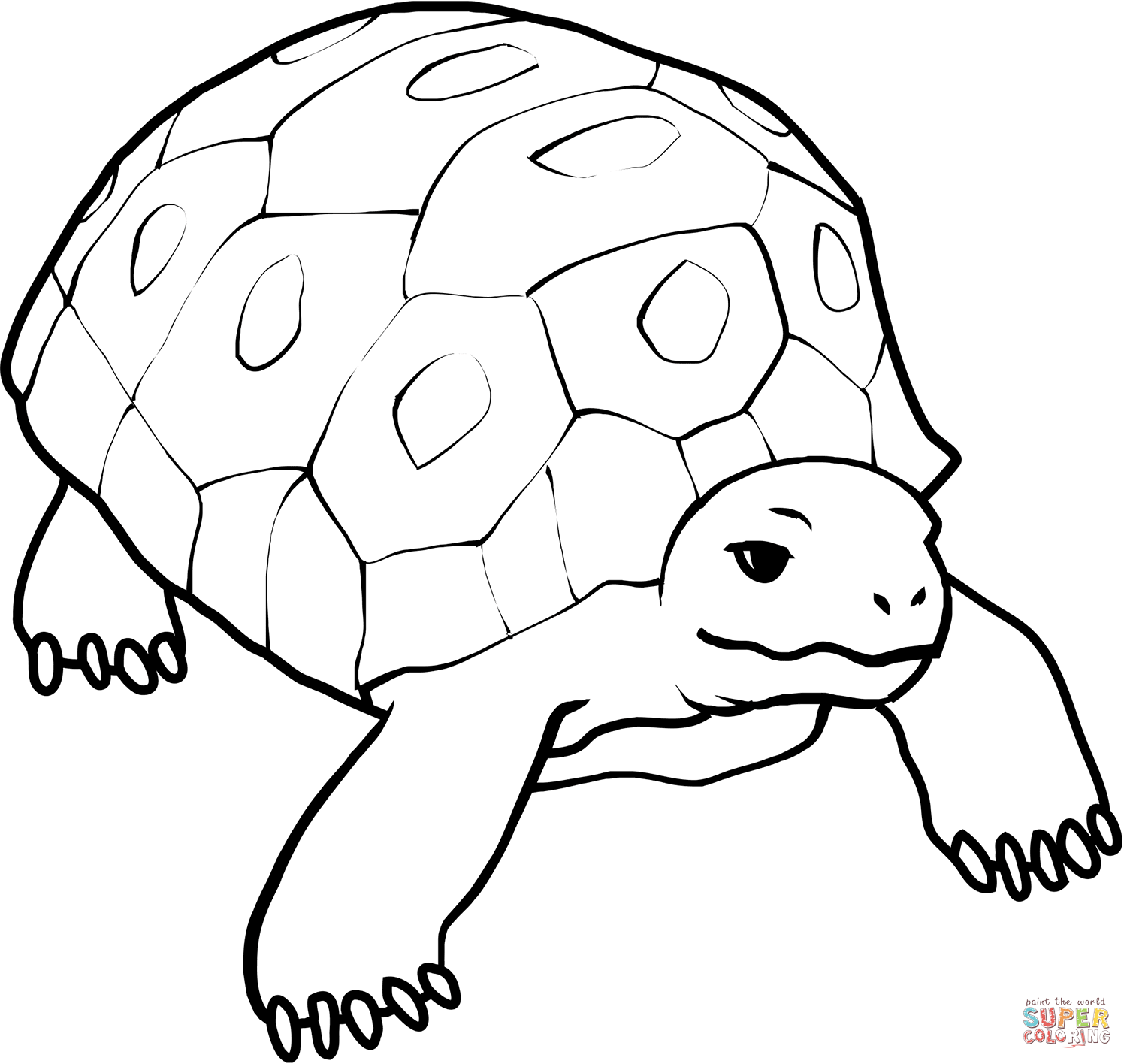 Tortoise coloring page free printable coloring pages