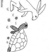 Hare and tortoise coloring pages