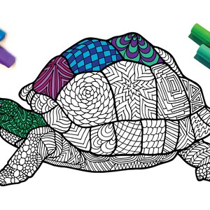 Tortoise coloring