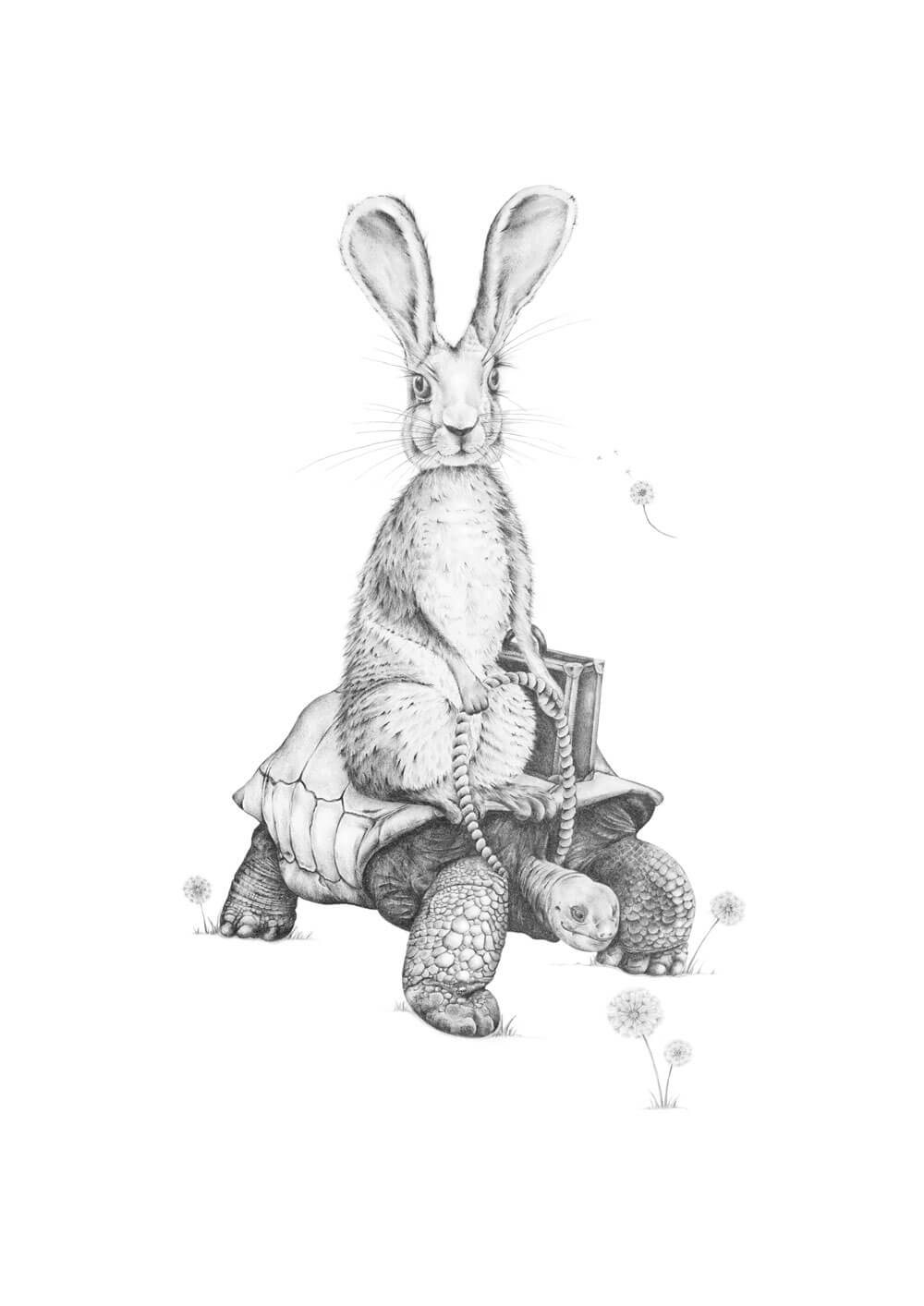 Tortoise and the hare â popcorn blue