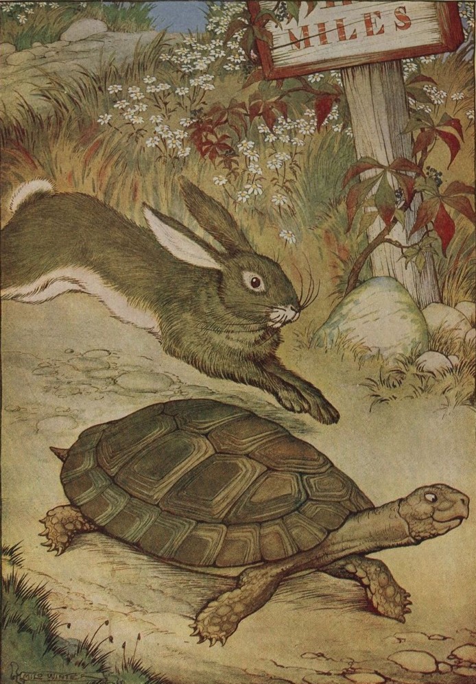 Tortoise and hare lesson plans