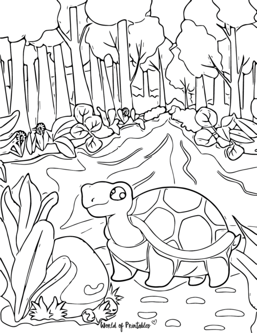 Turtle coloring pages for kids adults