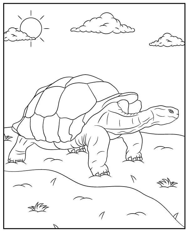 Galãpagos tortoise coloring page