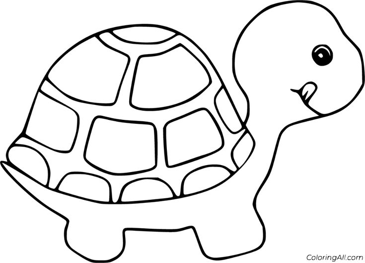 Free printable tortoise coloring pages in vector format easy to print from any device and automatically fâ tortoise drawing coloring pages hand painting art