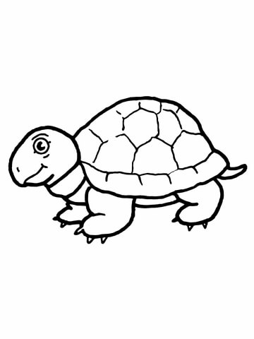 Cute tortoise coloring page free printable coloring pages