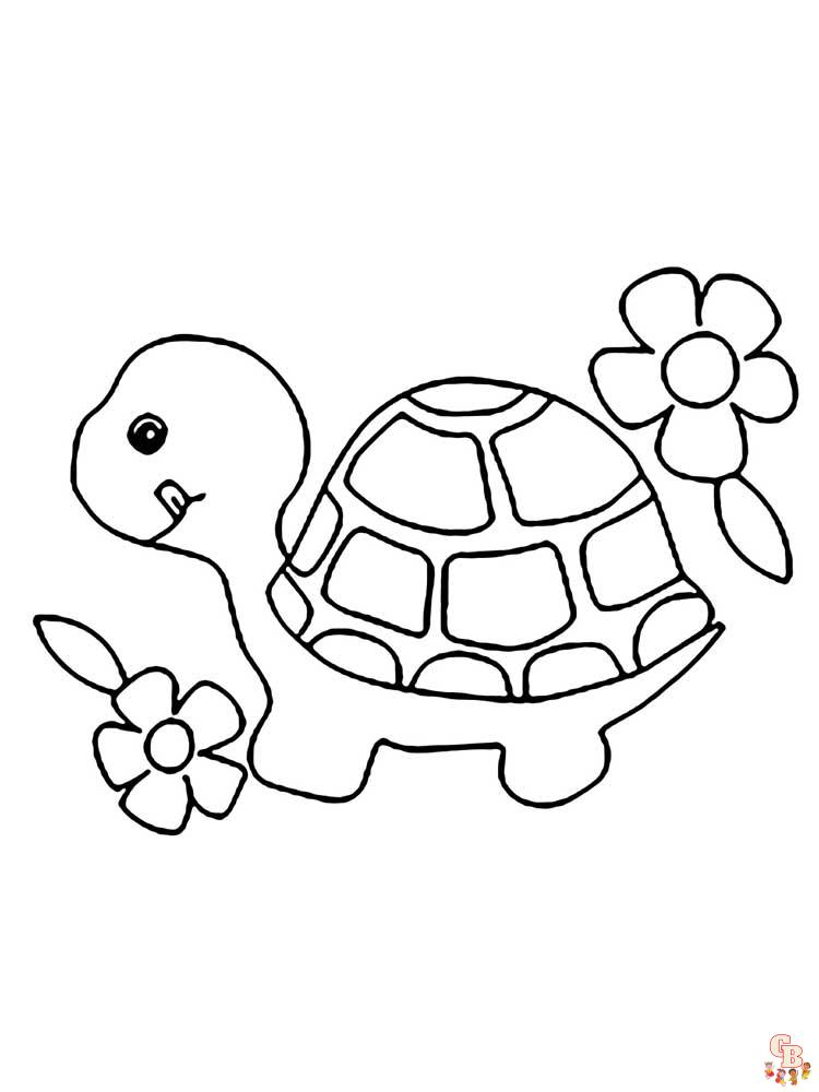 Tortoise coloring pages