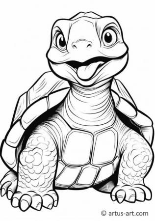 Tortoise coloring page