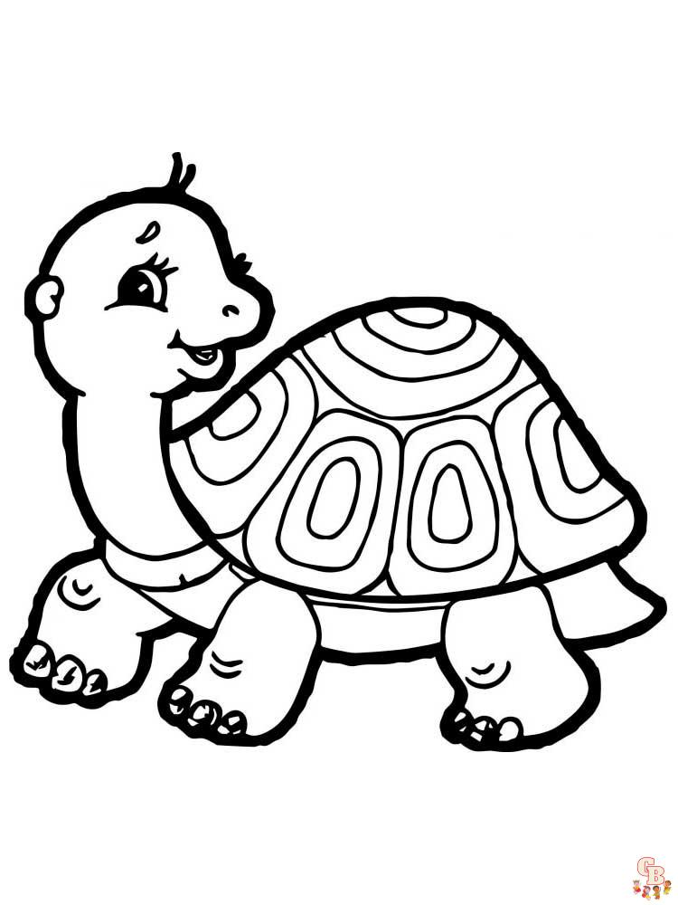 Tortoise coloring pages