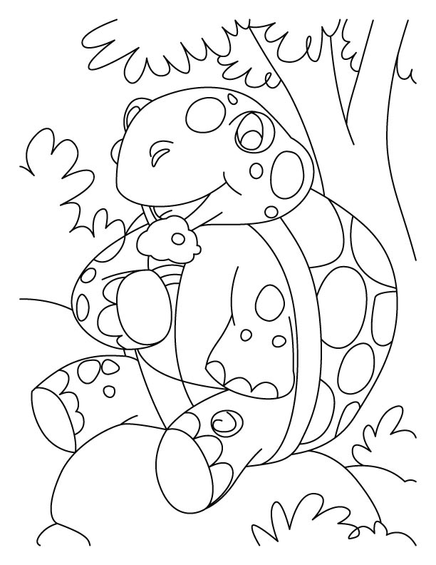 Resting tortoise coloring pages download free resting tortoise coloring pages for kids best coloring pages