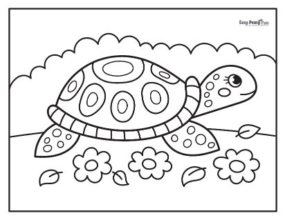 Turtle coloring pages