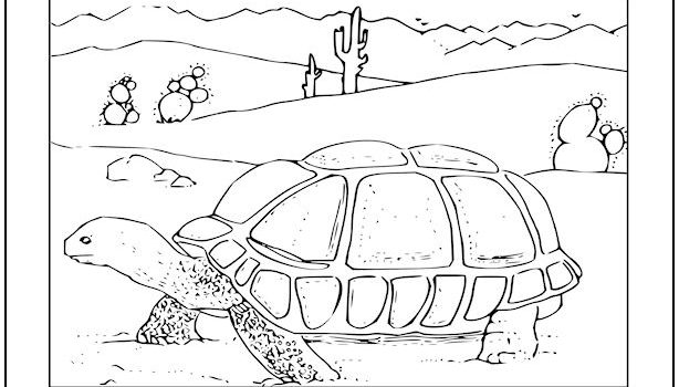 Tag wildlife coloring pages print it free
