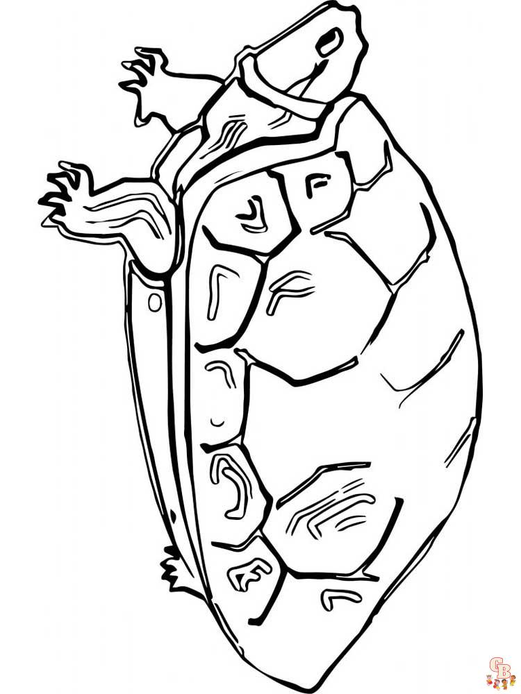 Tortoise coloring pages