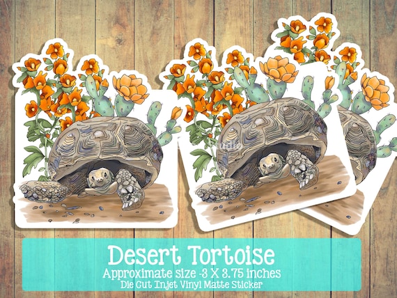 Etiqueta engomada de la tortuga del desierto etiqueta de la tortuga del desierto de mojave cactus floreciente malva de globo naranja especies en peligro de extinciãn flora y fauna del desierto
