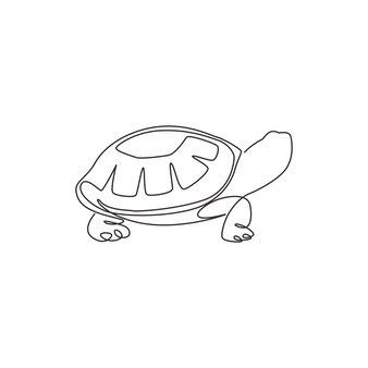 Pãgina vector e ilustracion de turtle nature para dcargar gratis