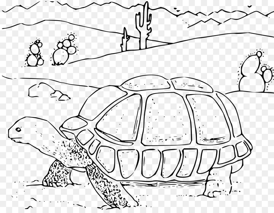 Tortuga gopherus tortuga del dierto imagen png