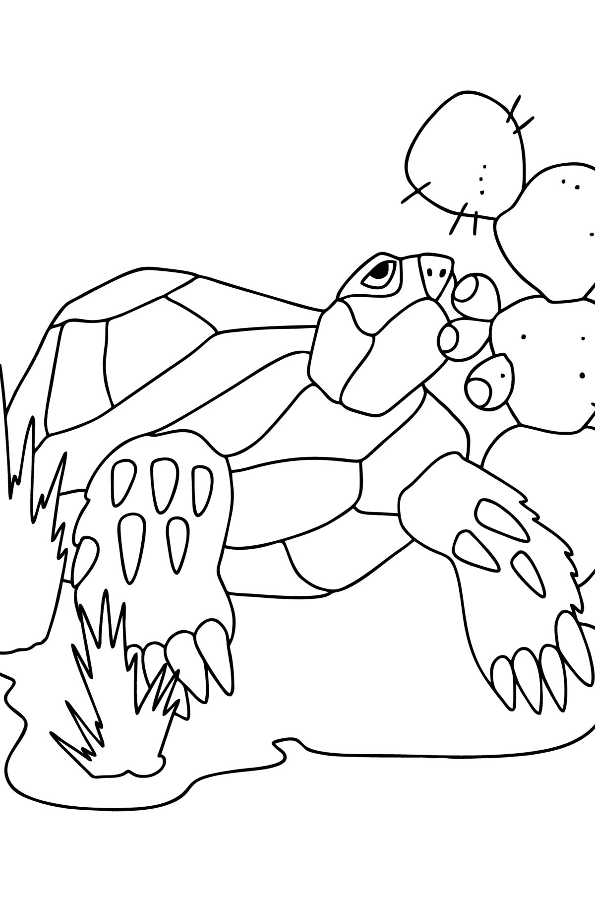 Dibujo tortuga en el desierto para colorear â imprime y en lãnea