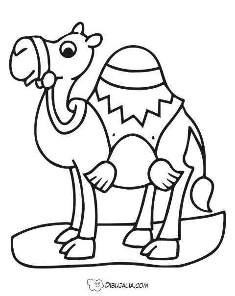 Camello del desierto