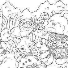 Halloween franklin coloring pages