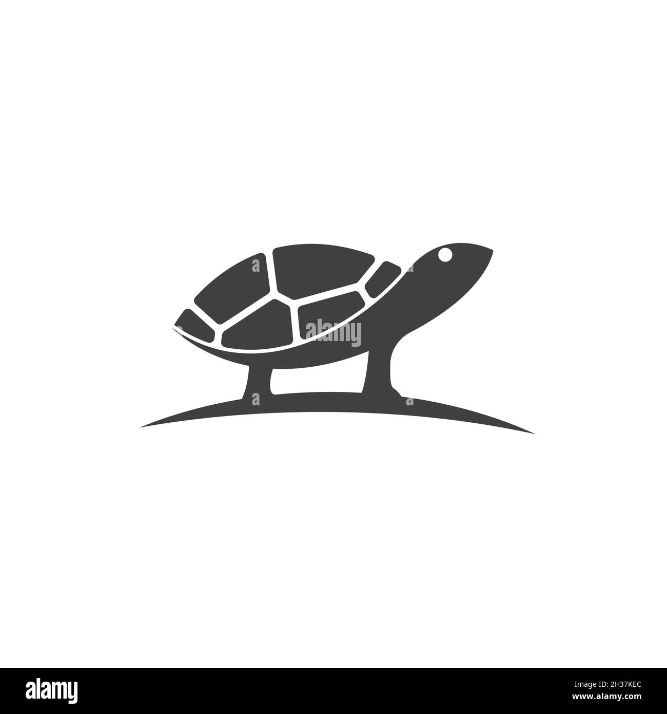 Turtle clipart hi
