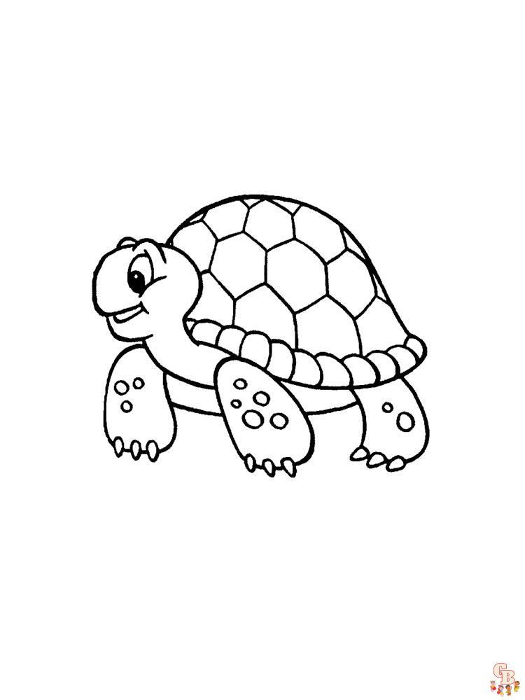 Turtle coloring pages