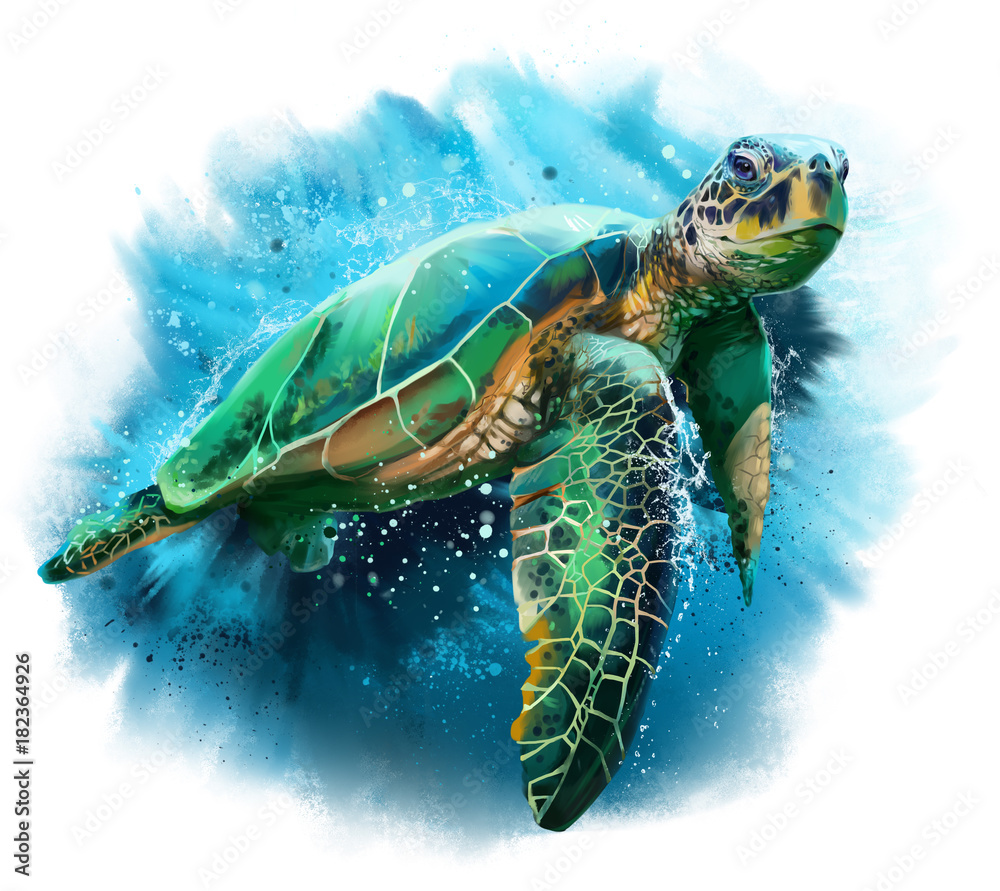 Fotografãa tortuga marina