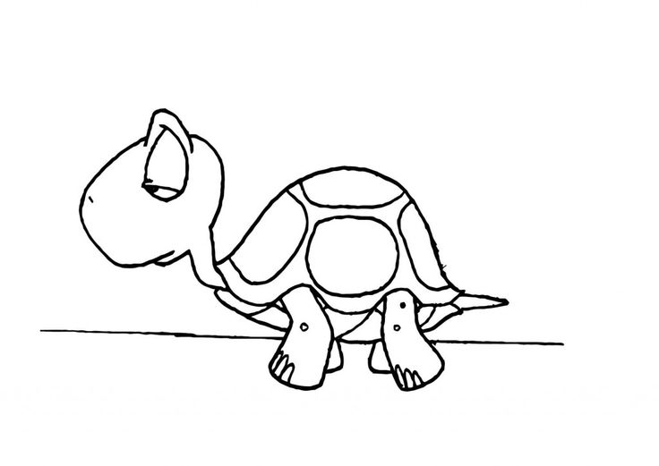 Free printable turtle coloring pages for kids turtle coloring pages coloring pages to print coloring pages