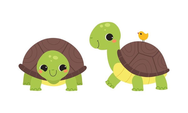 Imãgenes fotos de stock objetos en d y vectores sobre cute turtle cartoon