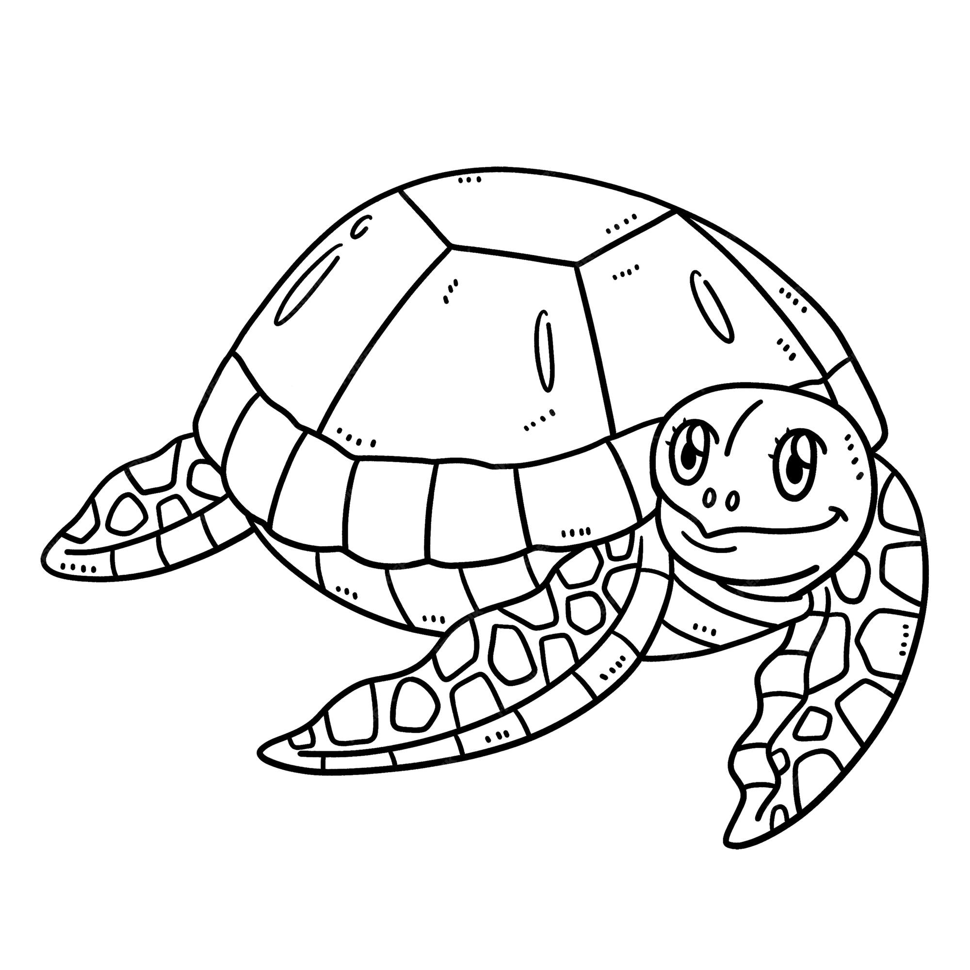 Pãgina para colorear aislada de tortuga bebã para niãos vector premium