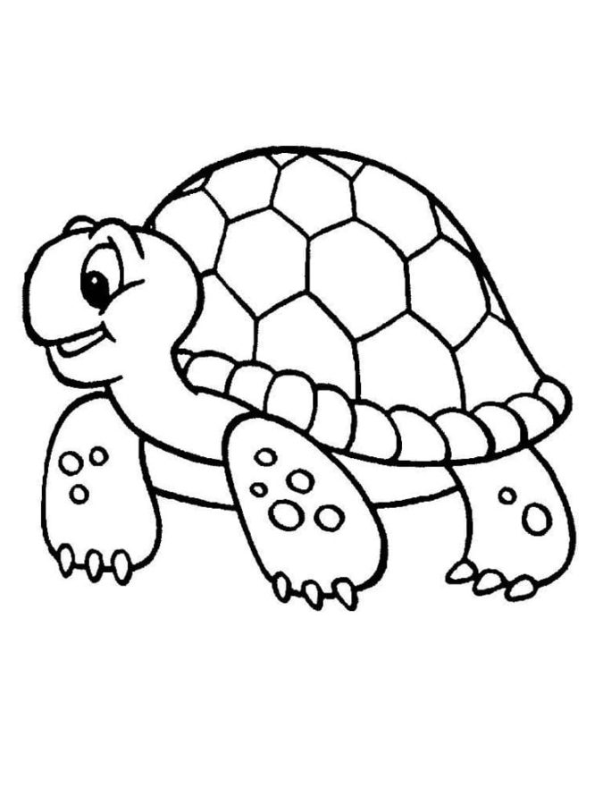 Turtle coloring pages
