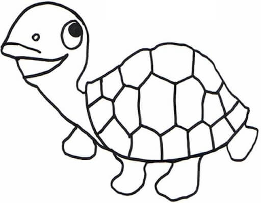 Tortuga dibujo para colorear imprimir e dibujar â