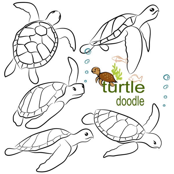 Imãgenes fotos de stock objetos en d y vectores sobre doodle turtle