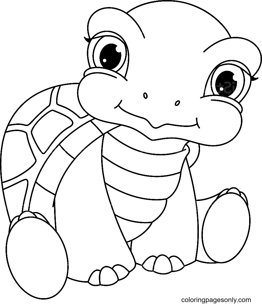 Dibujo de adorable tortuga bebã para colorear