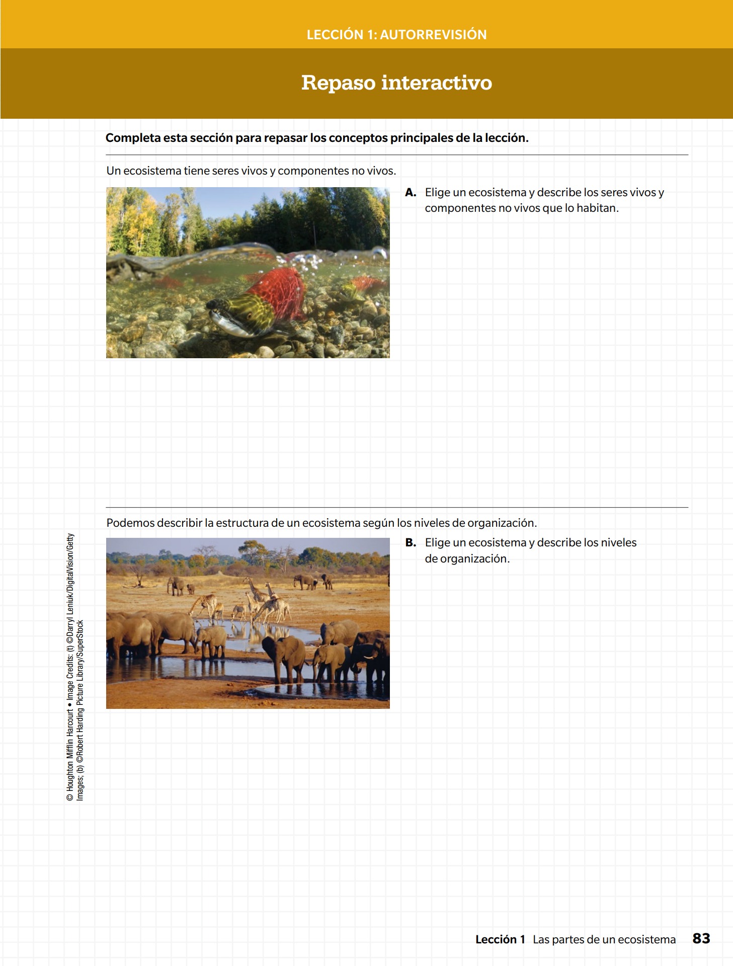 Student edition