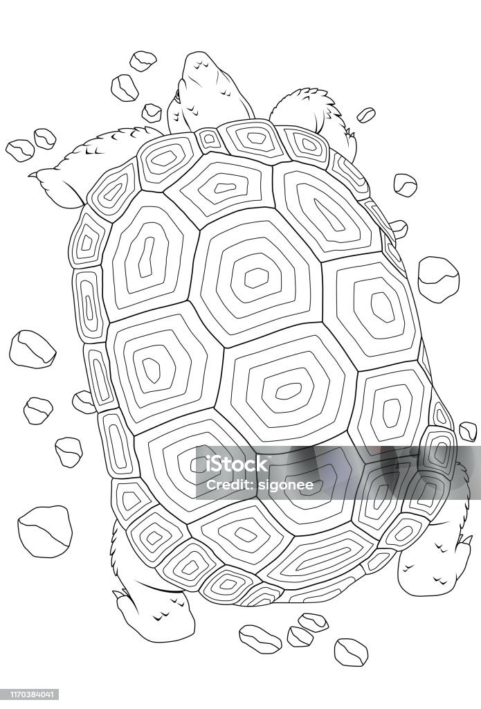 Ilustraciãn de tortuga del desierto y mãs vectores libres de derechos de tortuga del desierto