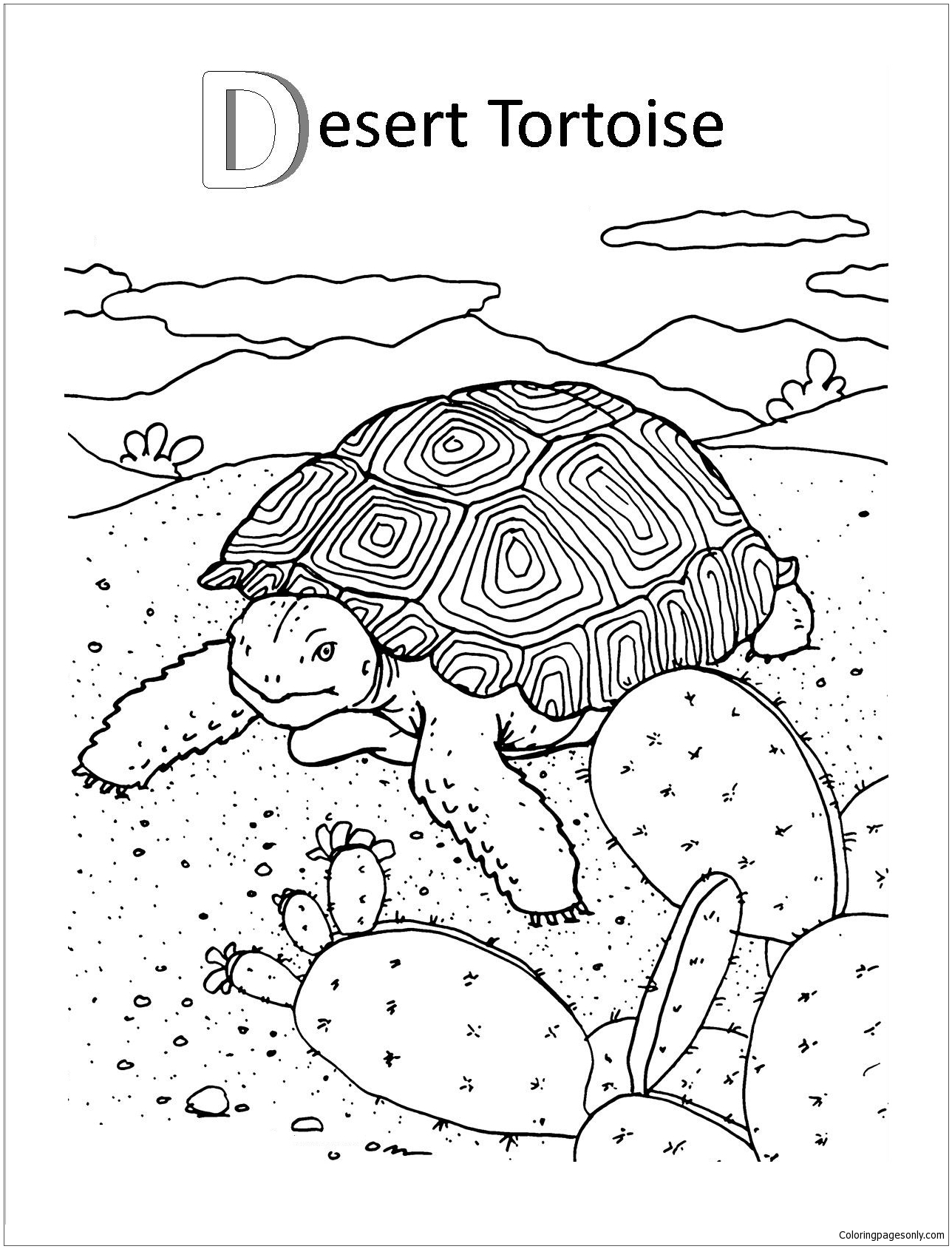 Desert tortoise coloring page