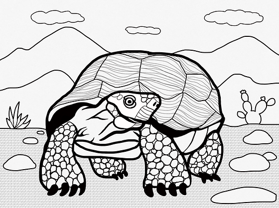 Sonoran dert coloring book pima county board of