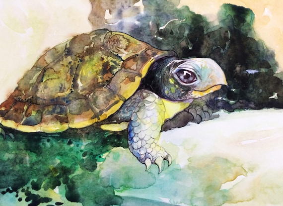Watercolor desert tortoise painting tortoise art print western art desert painting giclee turtle reptile printillustration art