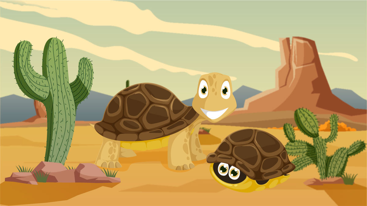 Tortuga llanera la especie que ha habitado la tierra desde hace millones de aãos