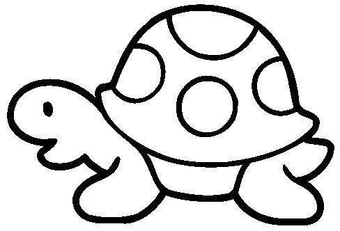 Tortuga tortugas pintadas tortuga para colorear dibujo de tortuga