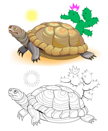 Life cycle of the turtle stock vector illustration and royalty free life cycle of the turtle clipart