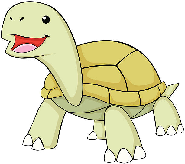 Desert tortoise stock illustrations royalty