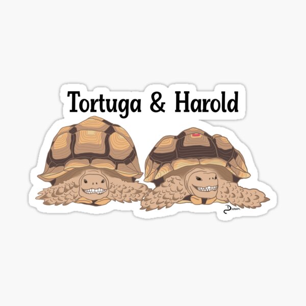 Tortuga stickers for sale